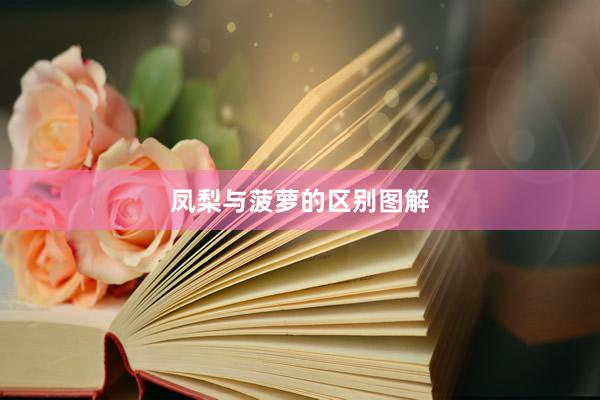 凤梨与菠萝的区别图解