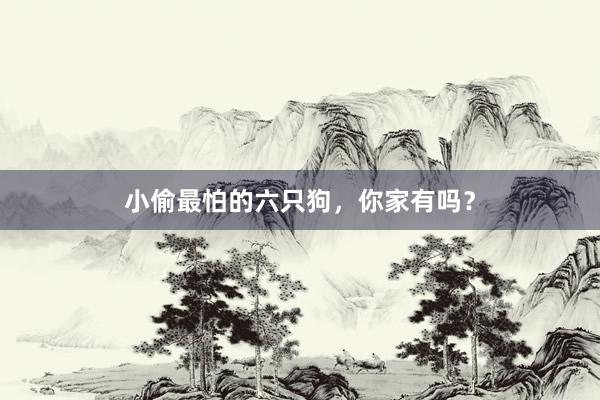 小偷最怕的六只狗，你家有吗？