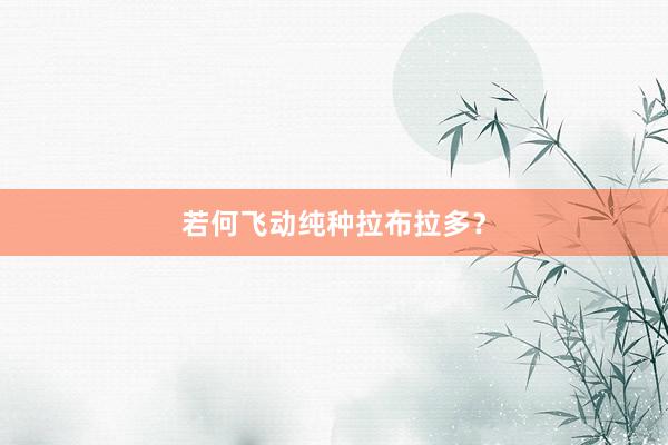 若何飞动纯种拉布拉多？