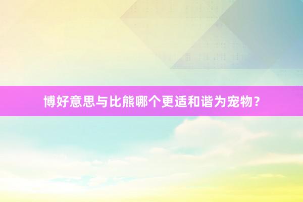 博好意思与比熊哪个更适和谐为宠物？